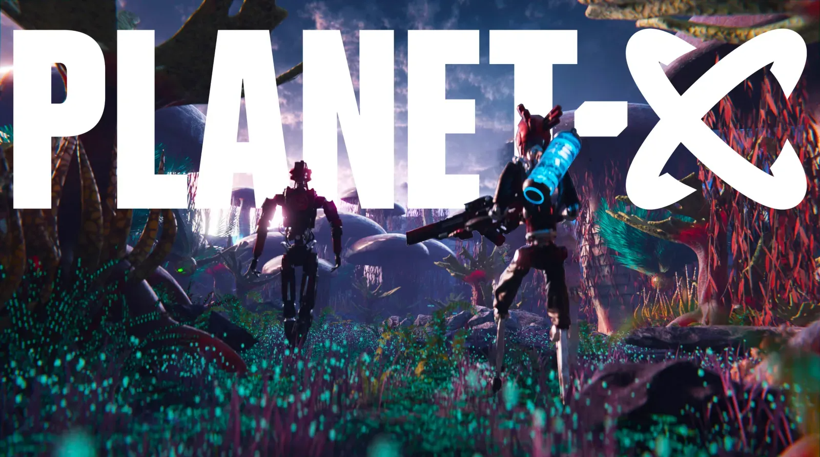 Planet-X and Its Economy