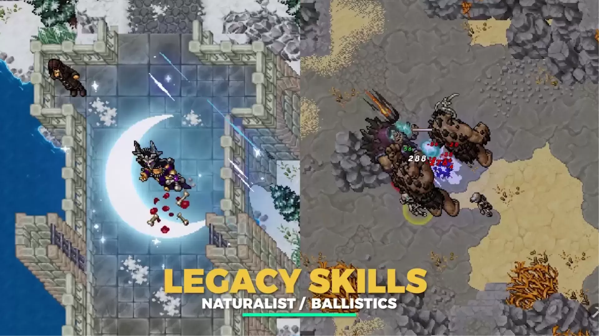 Descripción de la imagen