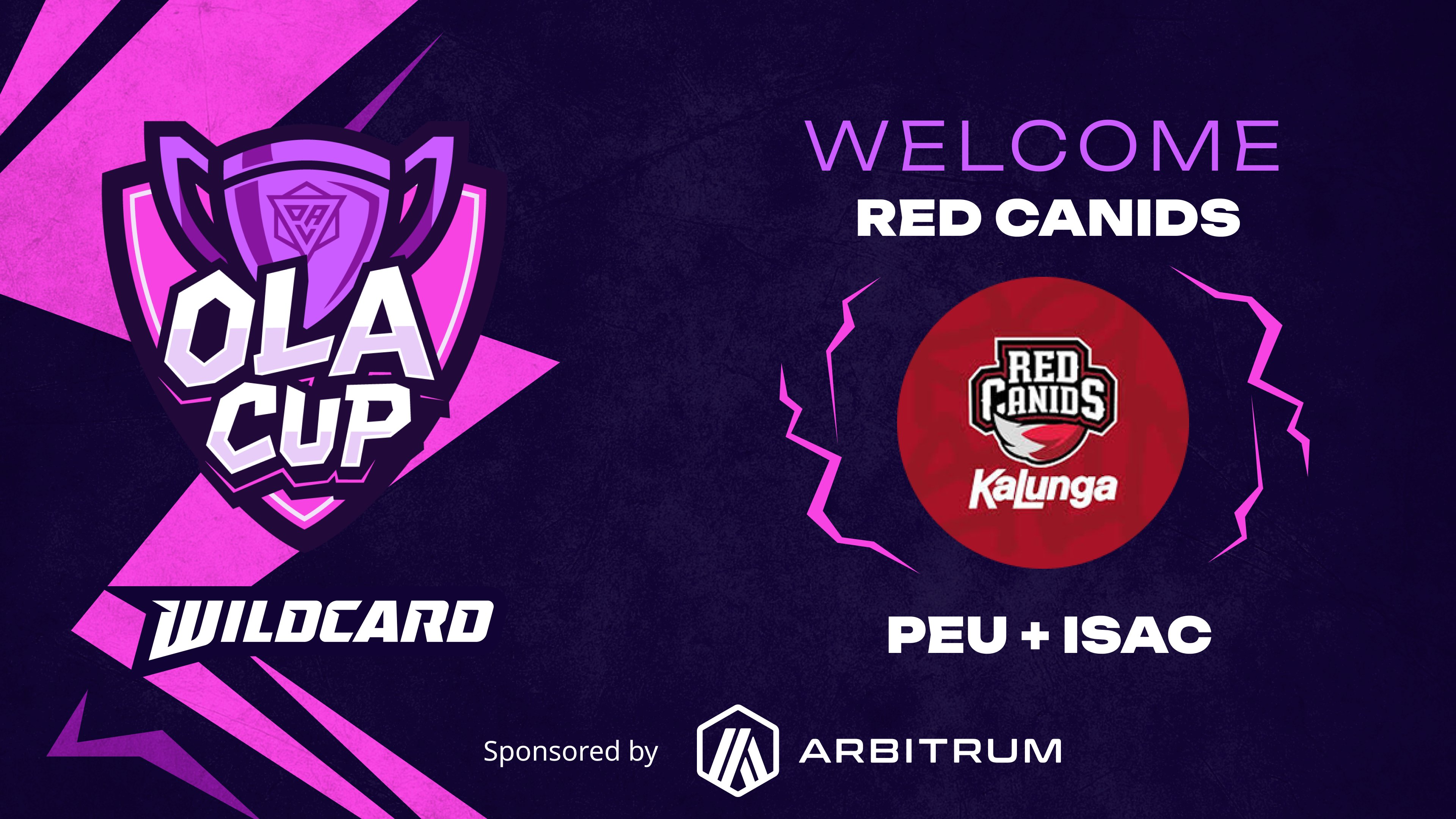 Vasco Esports