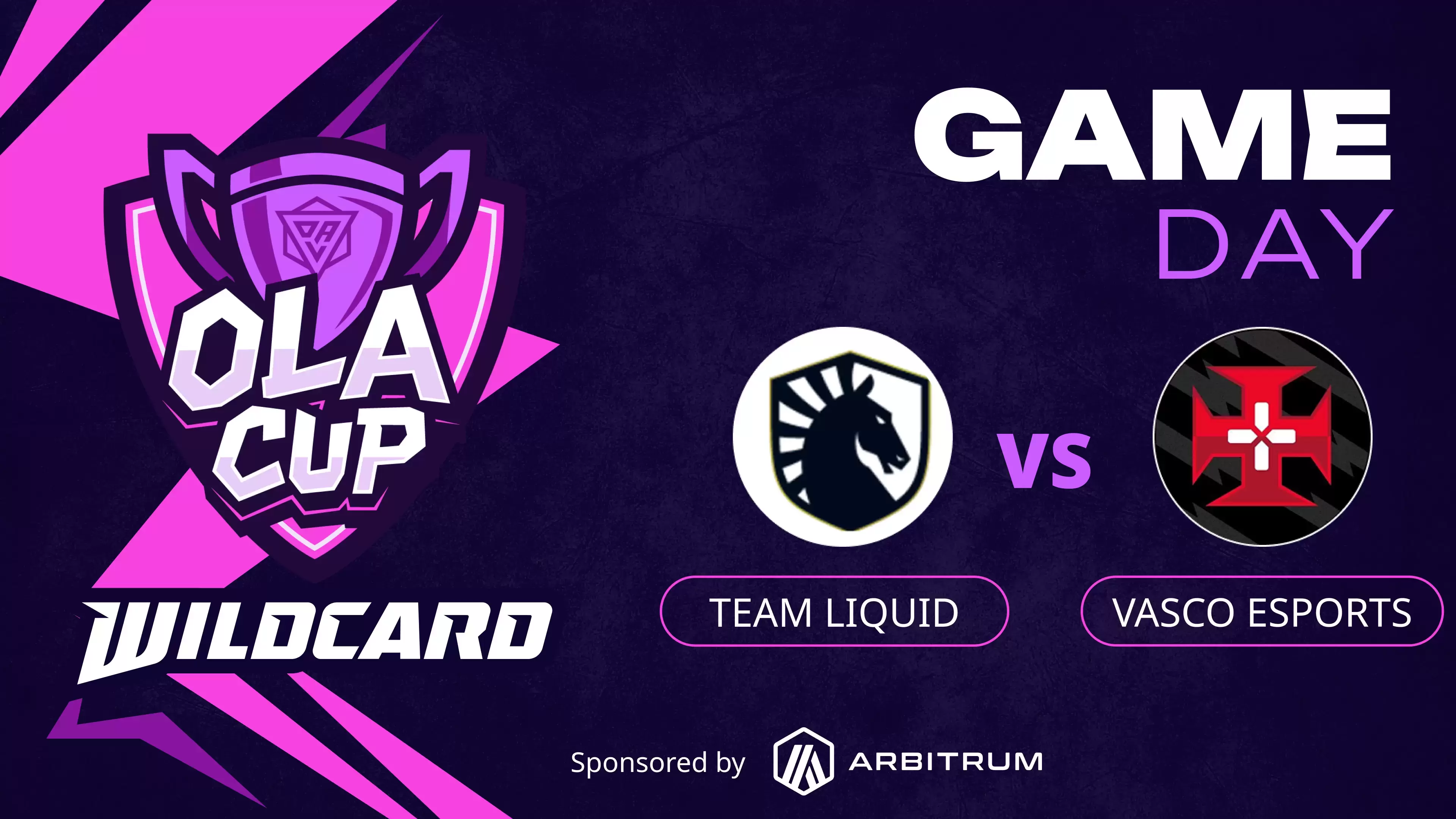 Team Liquid vs Vasco Esports
